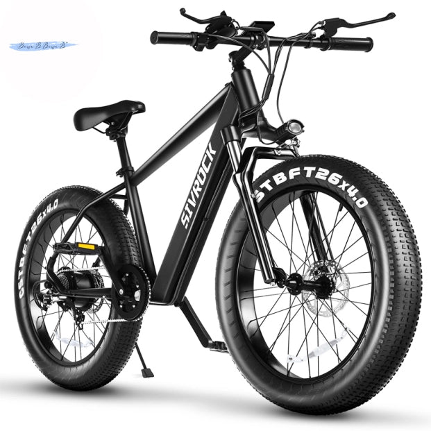 Professional Electric Bike for mountain, city, beach or other rides